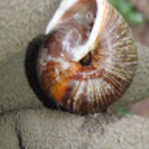 Meet your Posher, Billi